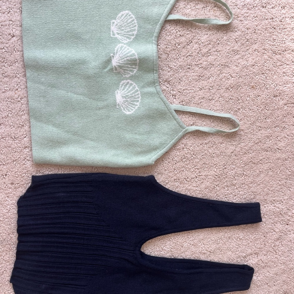 2 for 1! Pacsun cropped tees.